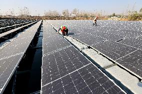 Fishery-solar Hybrid Project in Zaozhuang