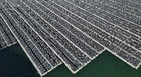 Fishery-solar Hybrid Project in Zaozhuang