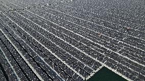 Fishery-solar Hybrid Project in Zaozhuang