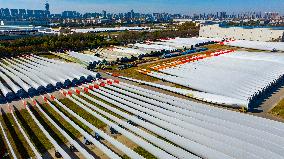Wind Power Blades Export in Yancheng