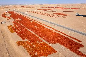 Farmers Drying Chili Peppers in Jiuquan