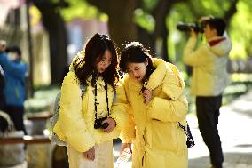 Tourists Visit The Forbidden City in Beijing