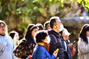 Tourists Visit The Forbidden City in Beijing