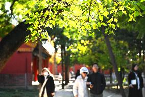 Tourists Visit The Forbidden City in Beijing