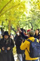 Tourists Visit The Forbidden City in Beijing