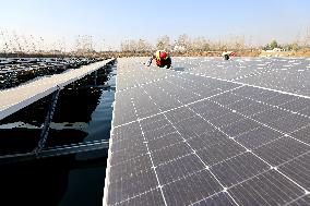 Fishery-solar Hybrid Project in Zaozhuang