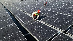 Fishery-solar Hybrid Project in Zaozhuang