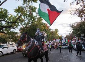 Pro-Palestine Rally - Sacramento