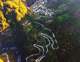 Rural Winding Road in Anqing