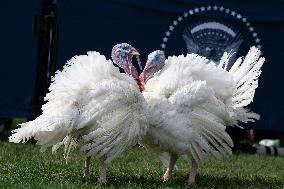 President Joe Biden participates in a ceremony pardoning of the National Thanksgiving Turkey