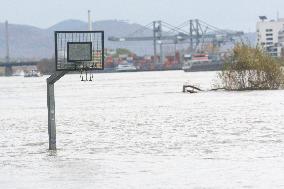 Flood Season Along The Rhine River