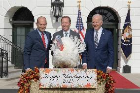 President Biden Hold A Pardon Turkey Ceremony