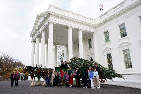 Jill Biden receives the Christmas Tree - Washington