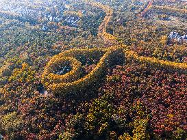 Meiling Palace at Zhongshan Mountain National Park in Nanjing