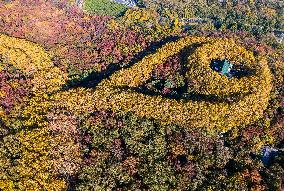 Meiling Palace at Zhongshan Mountain National Park in Nanjing