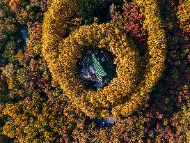 Meiling Palace at Zhongshan Mountain National Park in Nanjing