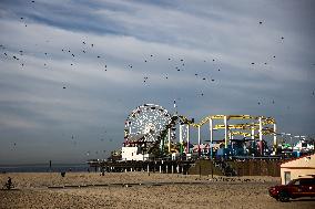 Daily Life In Santa Monica