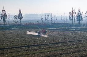 Future Wisdom Farm in Kunshan
