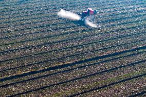 Future Wisdom Farm in Kunshan