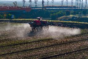 Future Wisdom Farm in Kunshan