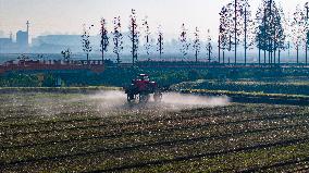 Future Wisdom Farm in Kunshan