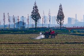 Future Wisdom Farm in Kunshan