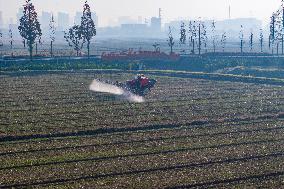 Future Wisdom Farm in Kunshan