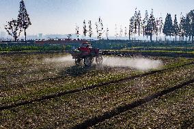 Future Wisdom Farm in Kunshan