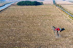 Future Wisdom Farm in Kunshan