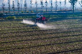 Future Wisdom Farm in Kunshan