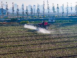 Future Wisdom Farm in Kunshan