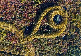 Meiling Palace at Zhongshan Mountain National Park in Nanjing