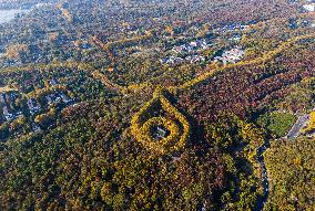 Meiling Palace at Zhongshan Mountain National Park in Nanjing