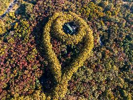 Meiling Palace at Zhongshan Mountain National Park in Nanjing