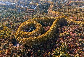 Meiling Palace at Zhongshan Mountain National Park in Nanjing