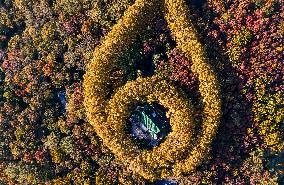 Meiling Palace at Zhongshan Mountain National Park in Nanjing