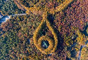 Meiling Palace at Zhongshan Mountain National Park in Nanjing