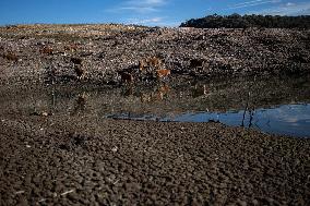 Drought In Spain