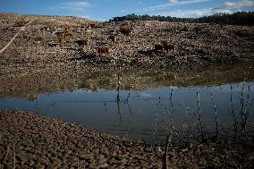 Drought In Spain