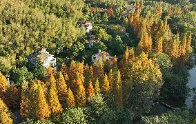 CHINA-JIANGXI-NANCHANG-FOREST-SCENERY (CN)