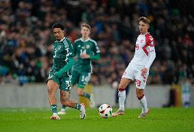 Northern Ireland v Denmark :  Group H - UEFA EURO 2024 European Qualifiers