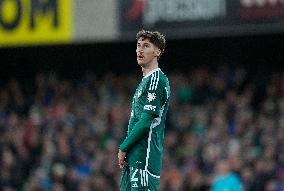 Northern Ireland v Denmark :  Group H - UEFA EURO 2024 European Qualifiers