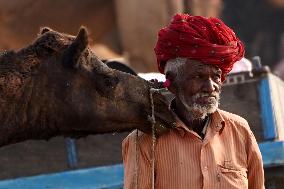 Pushkar Camel Fair - Rajasthan