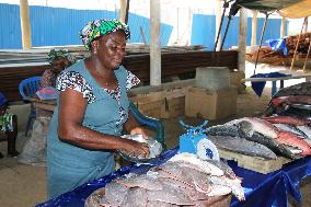 BENIN-SO-AVA-WORLD FISHERIES DAY