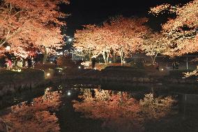 Autumn leaves reflected in central Japan pond