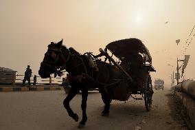 Dense Fog In Kashmir Valley