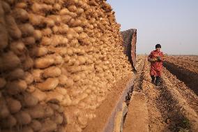 #CHINA-FARMING (CN)