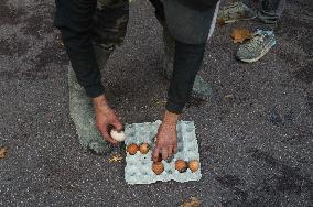 Demonstration By Young Farmers - Toulouse