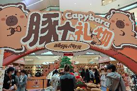 CapyBara Dolls Store in Shangha