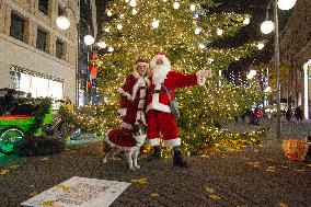 Cologne Christmas Market Opens